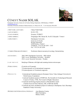 CNSolak CV 2021